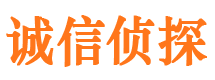 巴青私家侦探公司